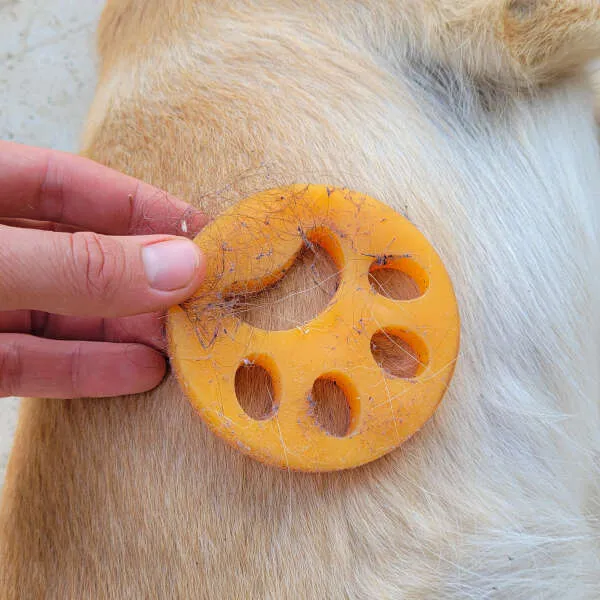 Furgetty - Set of 4 pet hair removers