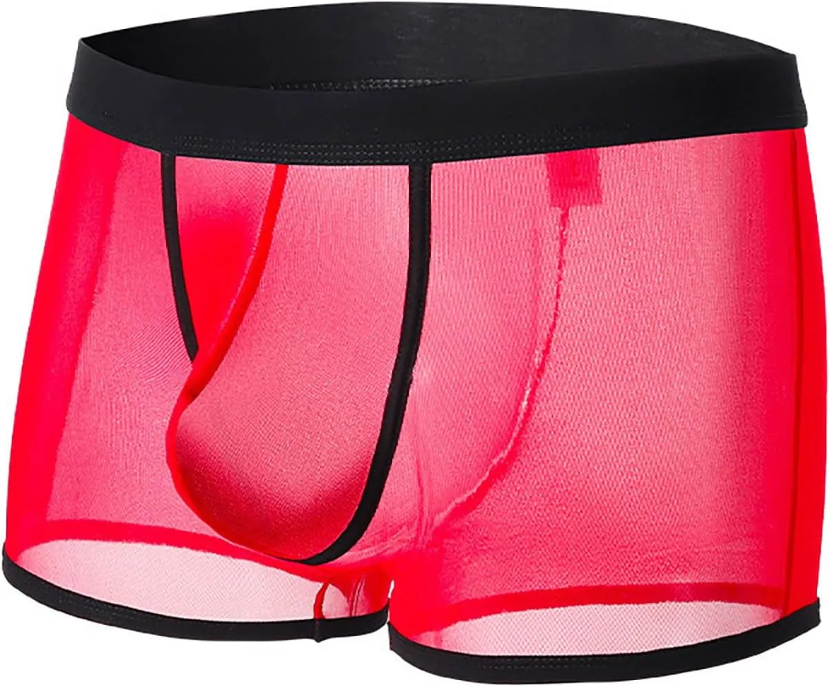 Mens See Throug Underwear Sexy Sheer Briefs Boxer Bulge Pouch Underpants 2025 Date Night